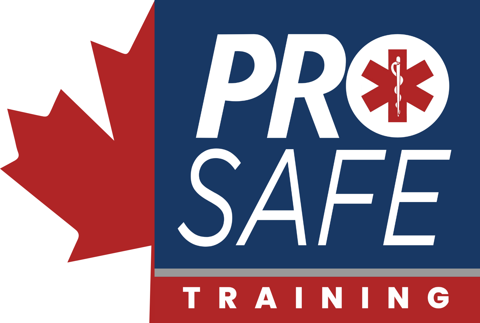 ProSafe Training